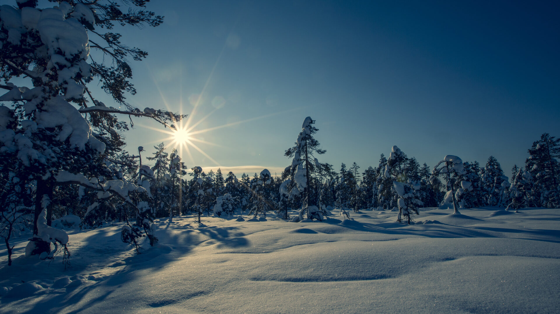 Bilde: Drammen Friluftsforum sidestilles med Idrettsrådet