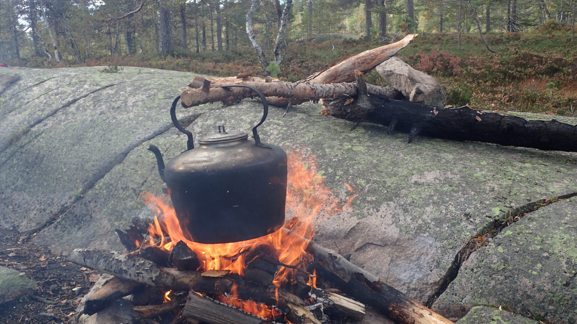 Bilde: Nyt de siste dagene med bålkos