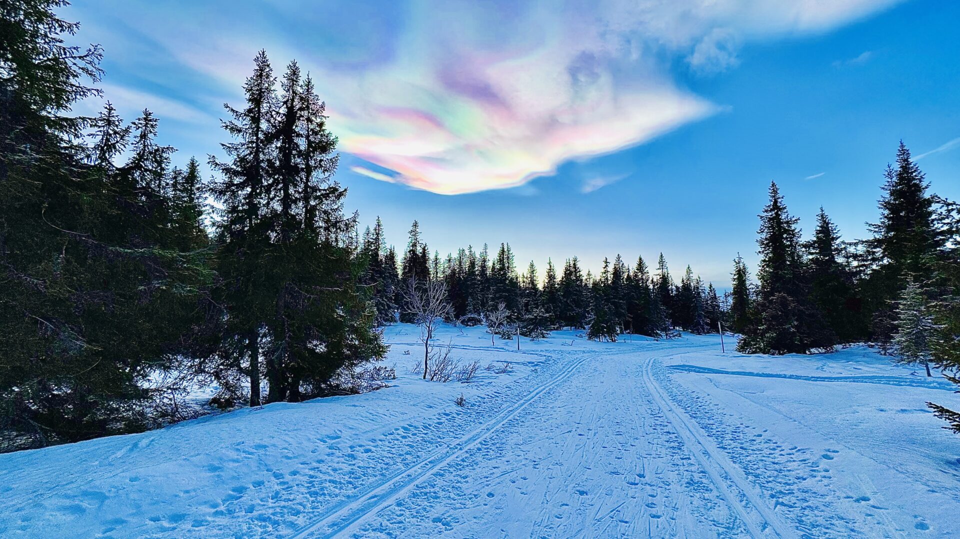 Bilde: Ledige verv i styret i Drammen friluftsforum