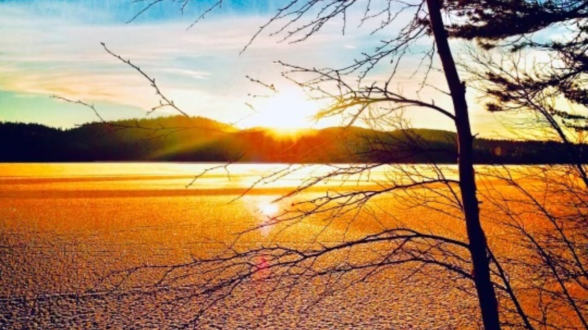 Bilde: Nominer kandidater til de nasjonale frivillighetsprisene!