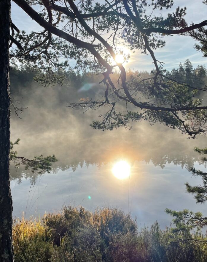 Bilde: Gjør Olsrud gratis for friluftsliv