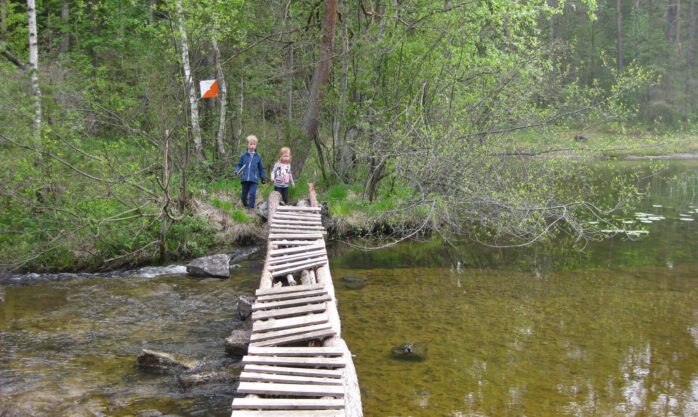 Bilde: Turorientering - hiv dere med! Skogen venter!