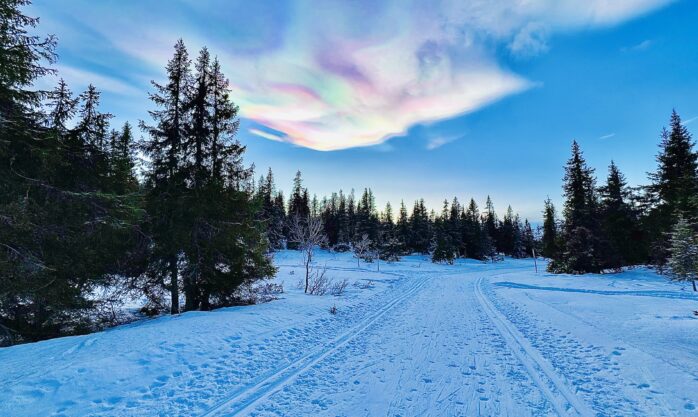 Bilde: Ledige verv i styret i Drammen friluftsforum