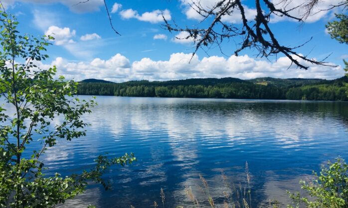 Bilde: Velkommen til årsmøte 4.mars