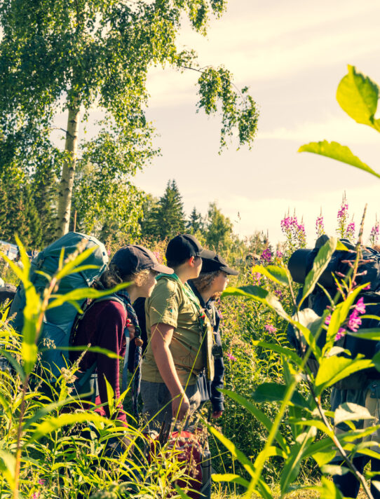 2025070808083708 EW 6035