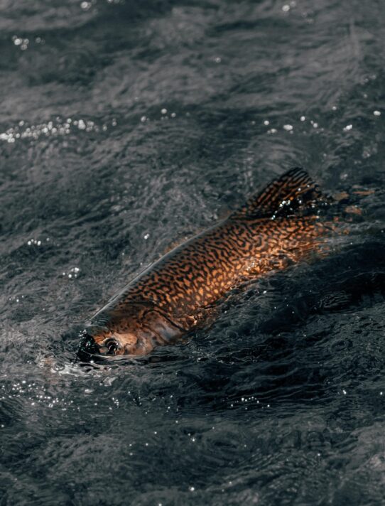 Gaspar zaldo f Pg l H Rxa ZA unsplash